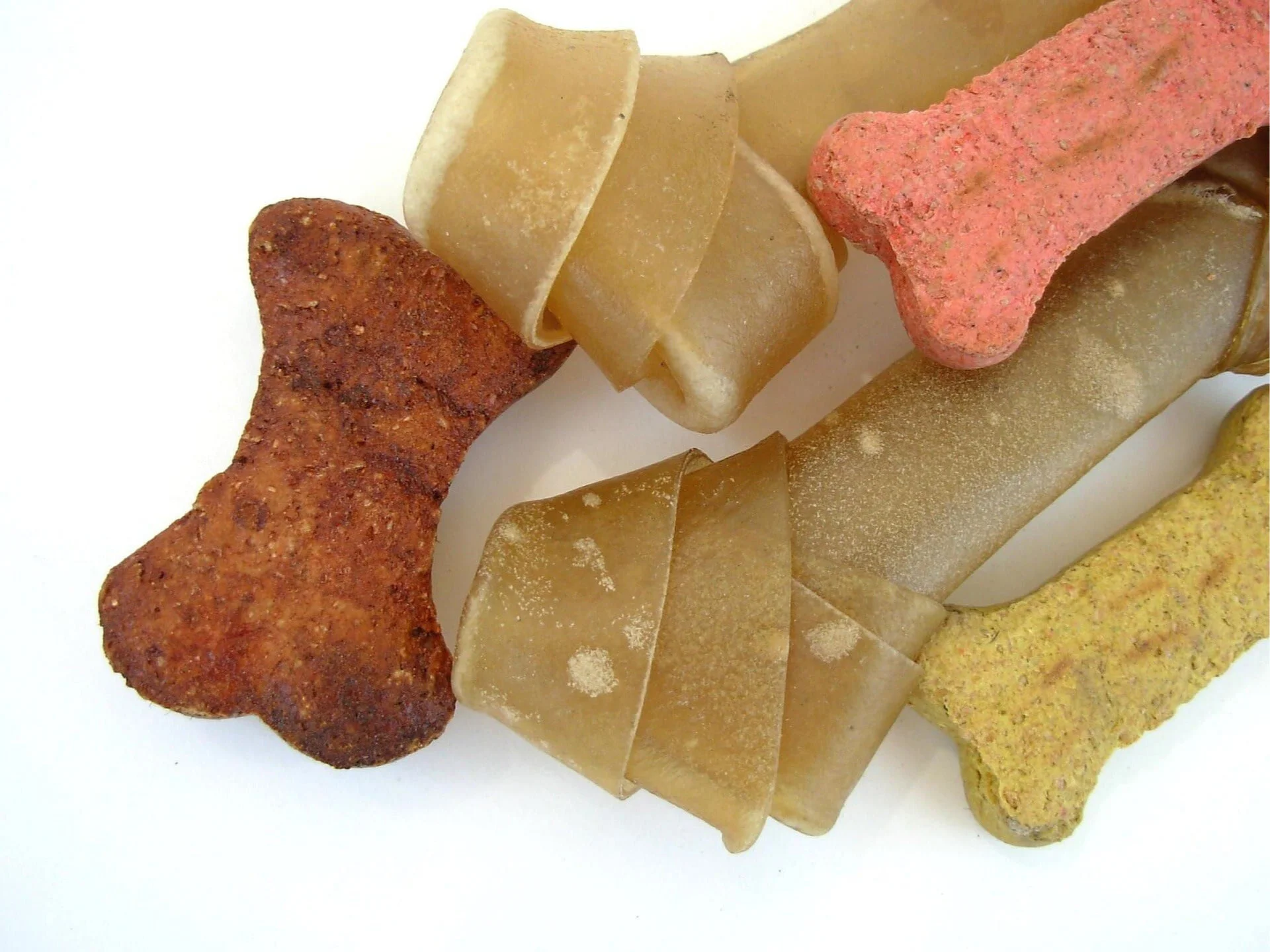 Welches Dackel-Futter ist das Richtige?