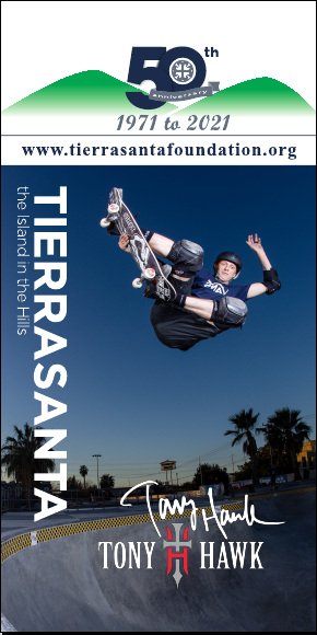 Tony+Hawk+%28small%29.jpg