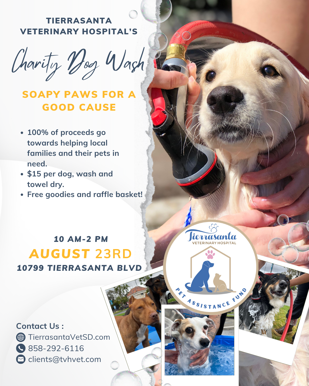 Charity Dog Event