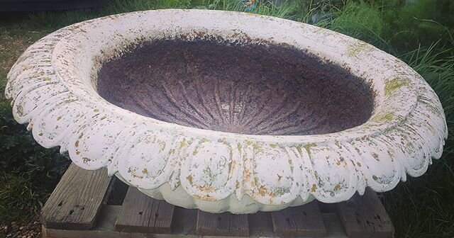 Unfortunately not able to sell this piece hole :( was a beautiful Victorian cast iron urns. Family pictures showing it in garden 1930s ! Top piece would make a stunning planter or water feature pre drilled were previously mounted.
* &pound;220 Suffol