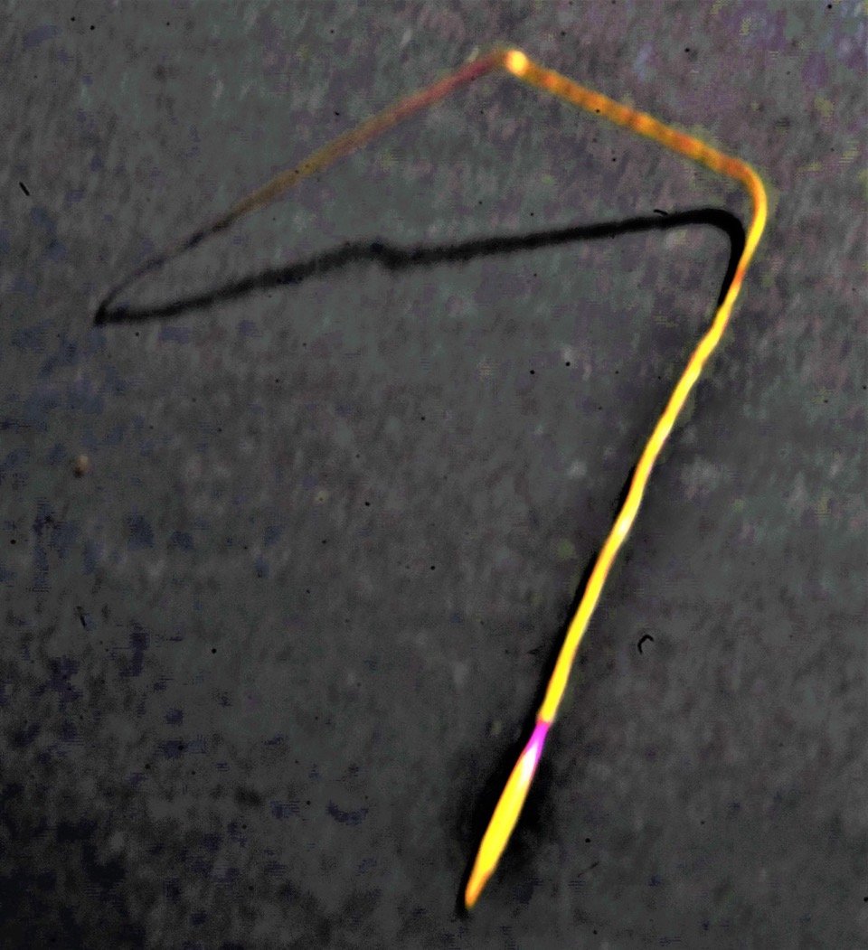 stipa seed.jpeg