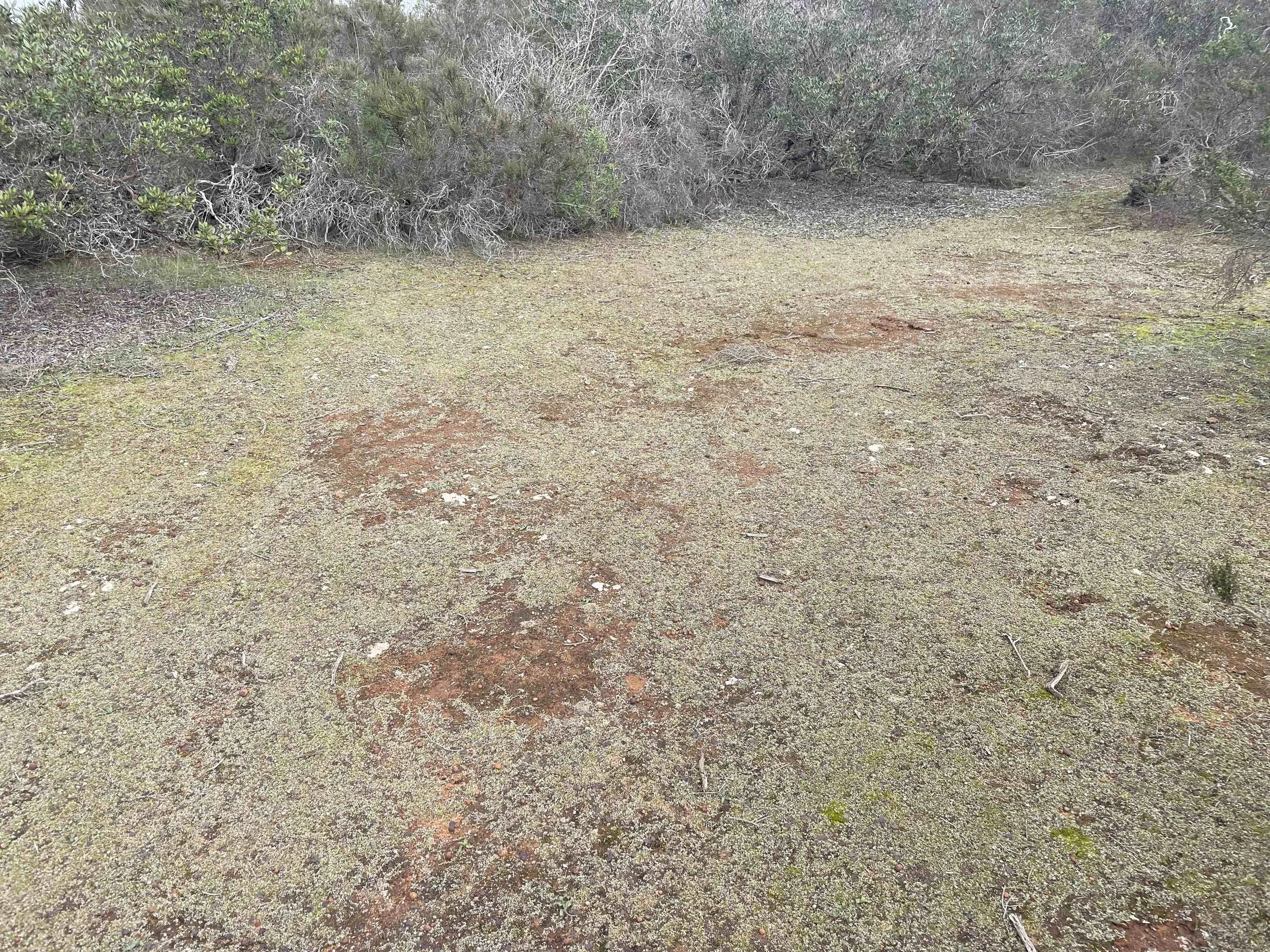 Nearby crypto-biome area