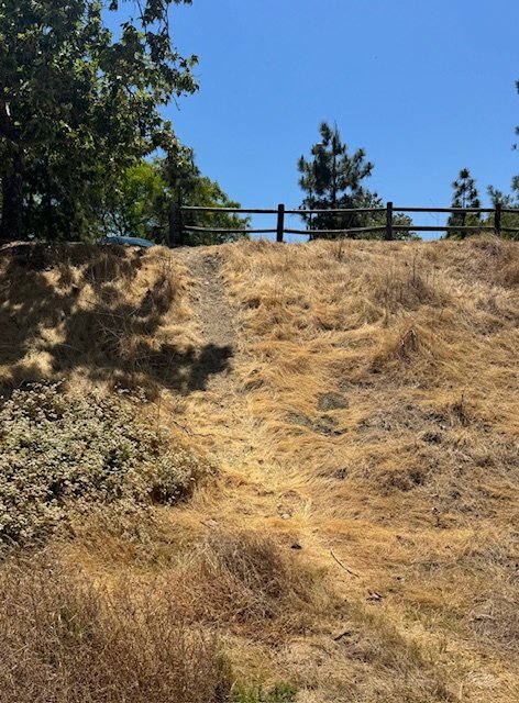 Informal/Unauthorized Trails