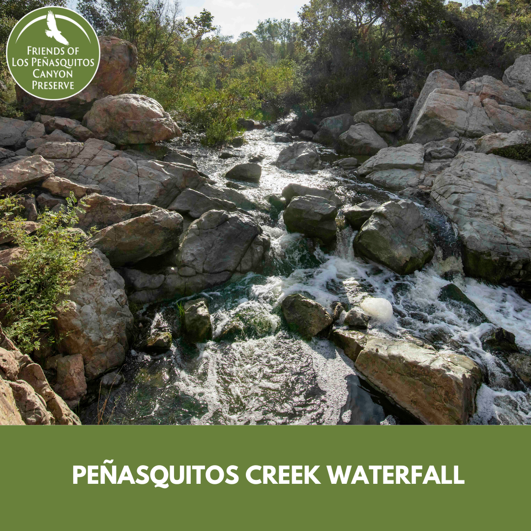 Hike to the Waterfall with Del Brooks