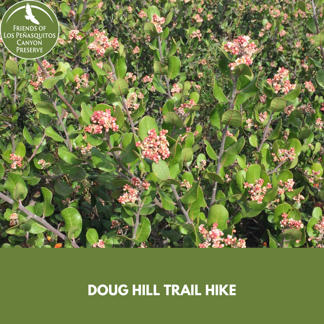 Doug Hill with Beth Mather