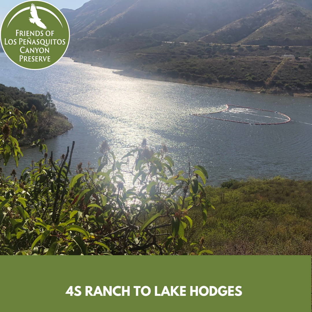 4S Ranch with Beth Mather