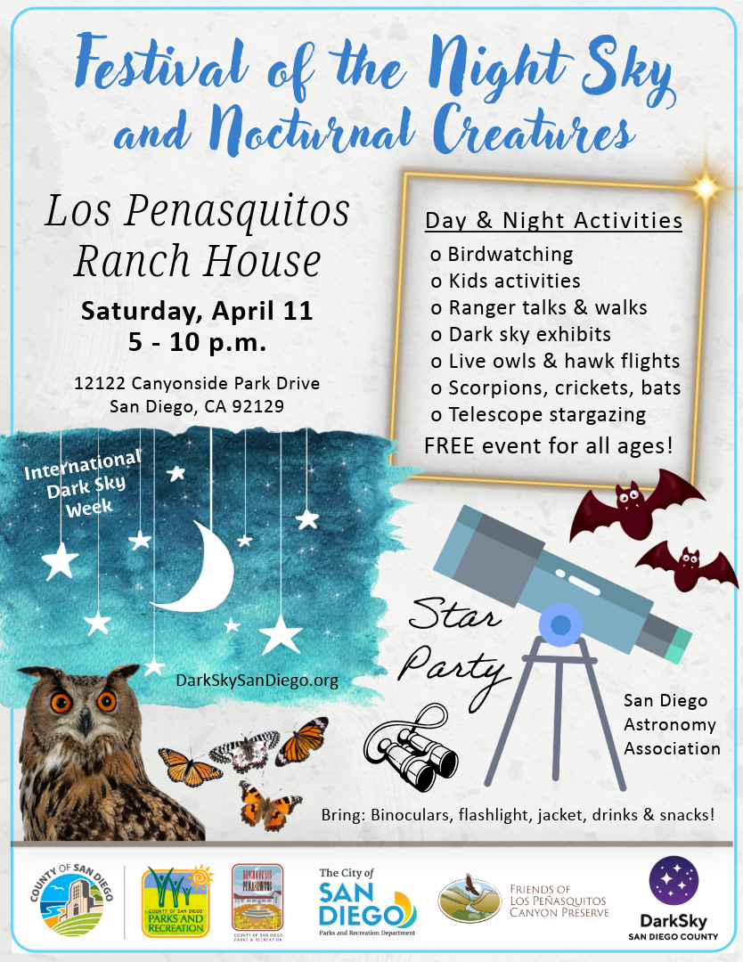 Festival of the Night Sky