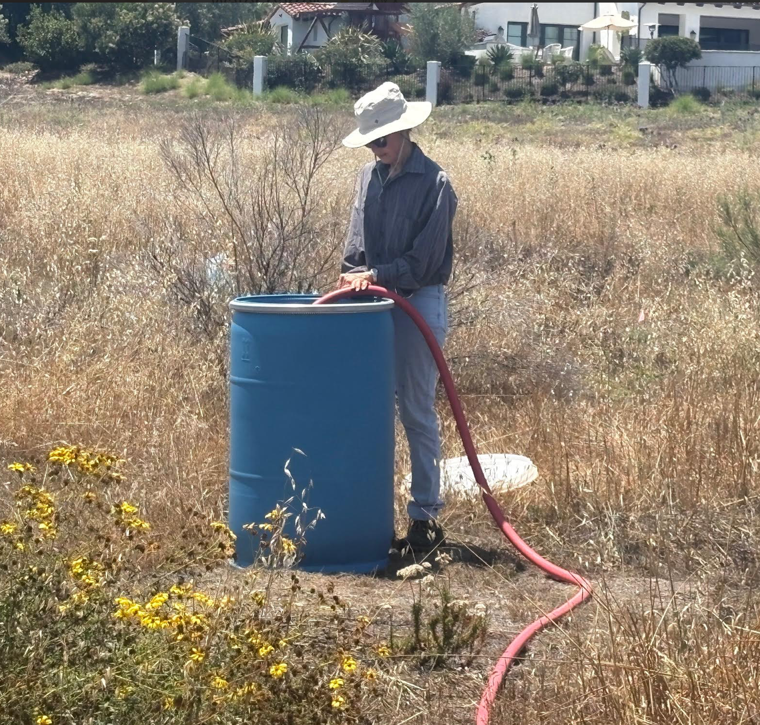Friends president Beth Mather is seen filling one of the 50-gallon drums.