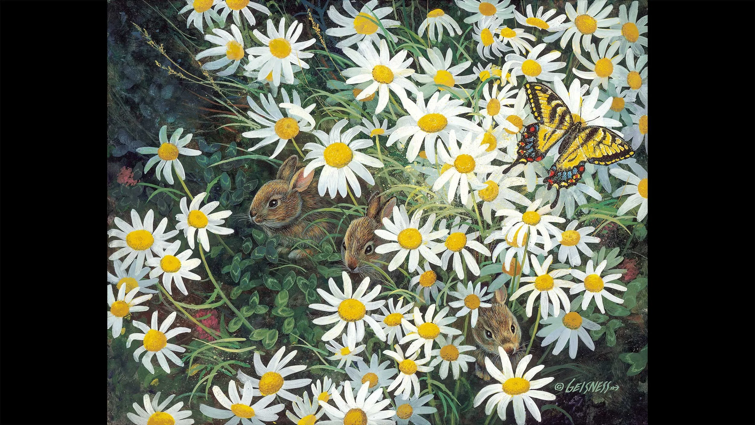 Days Ease_2500_16-9crop.jpg