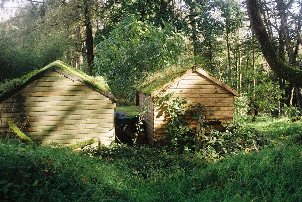 Gardening sheds in the afternoon light