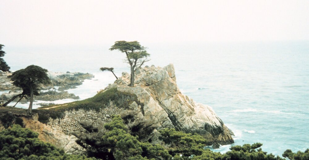 Cypress Point in Carmel, California (1993), by Commander Grady Tuell (Affiliation: NOAA Corps)