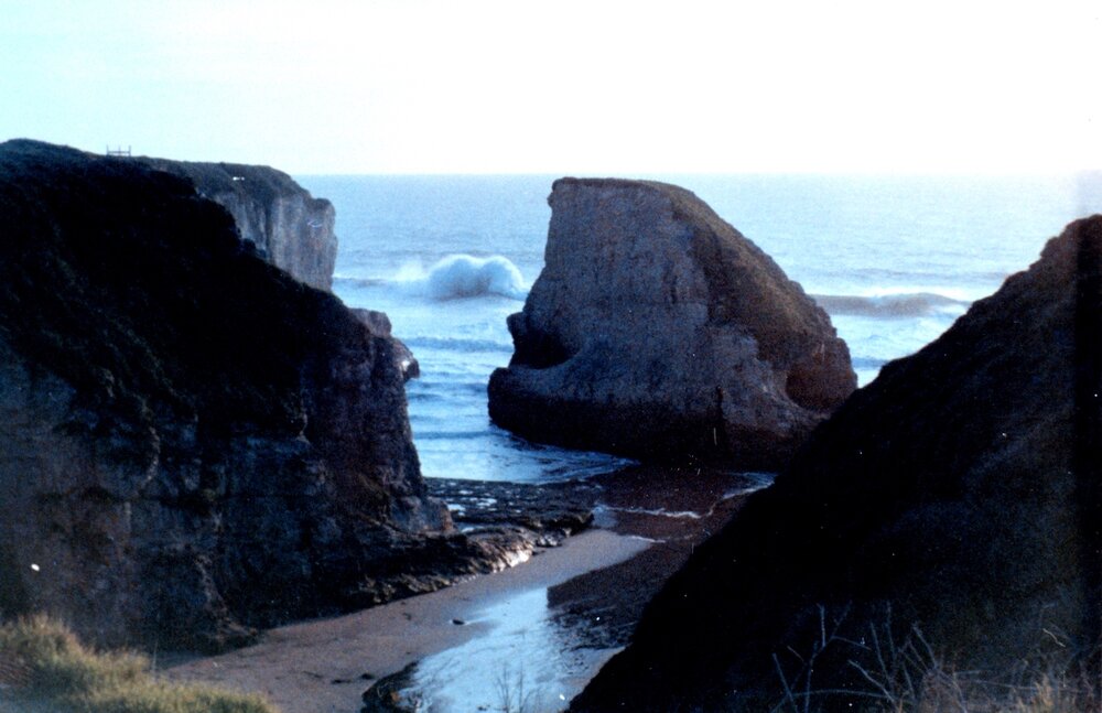 Cliffs south of Davenport, central California Coast, By Captain Albert E. Theberge (Affiliation: NOAA Corps)