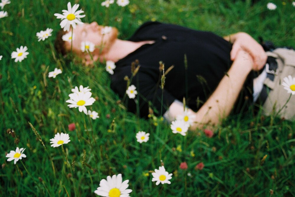 Napping in the daisies