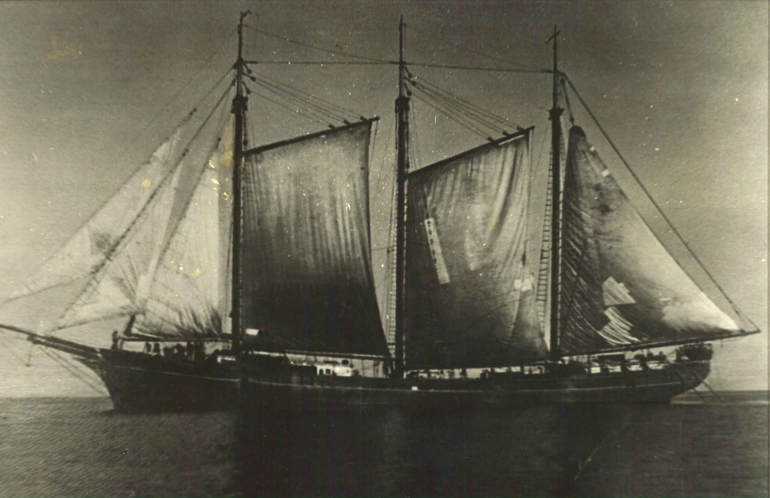 Wawona