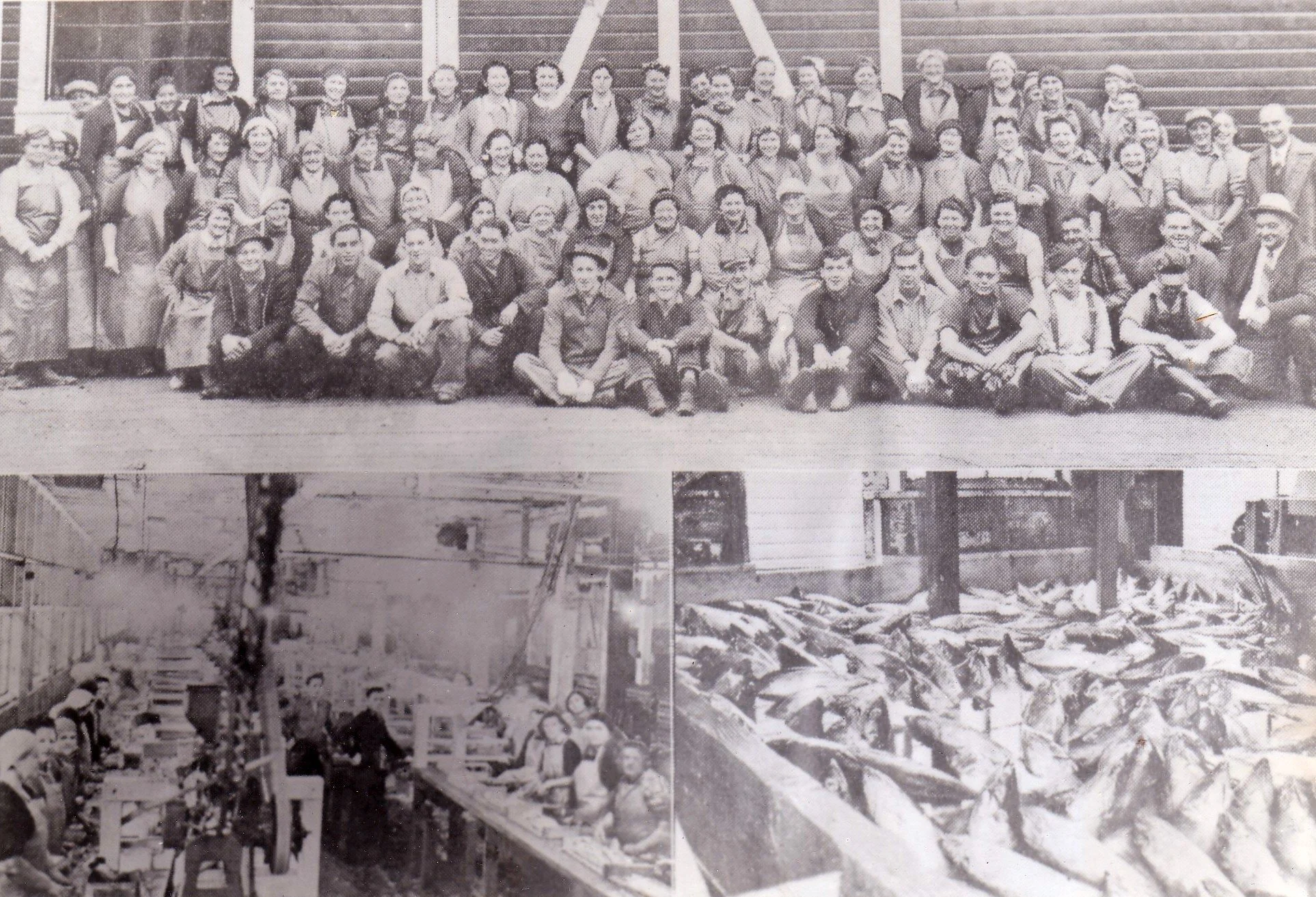 Cannery Workers and Fish
