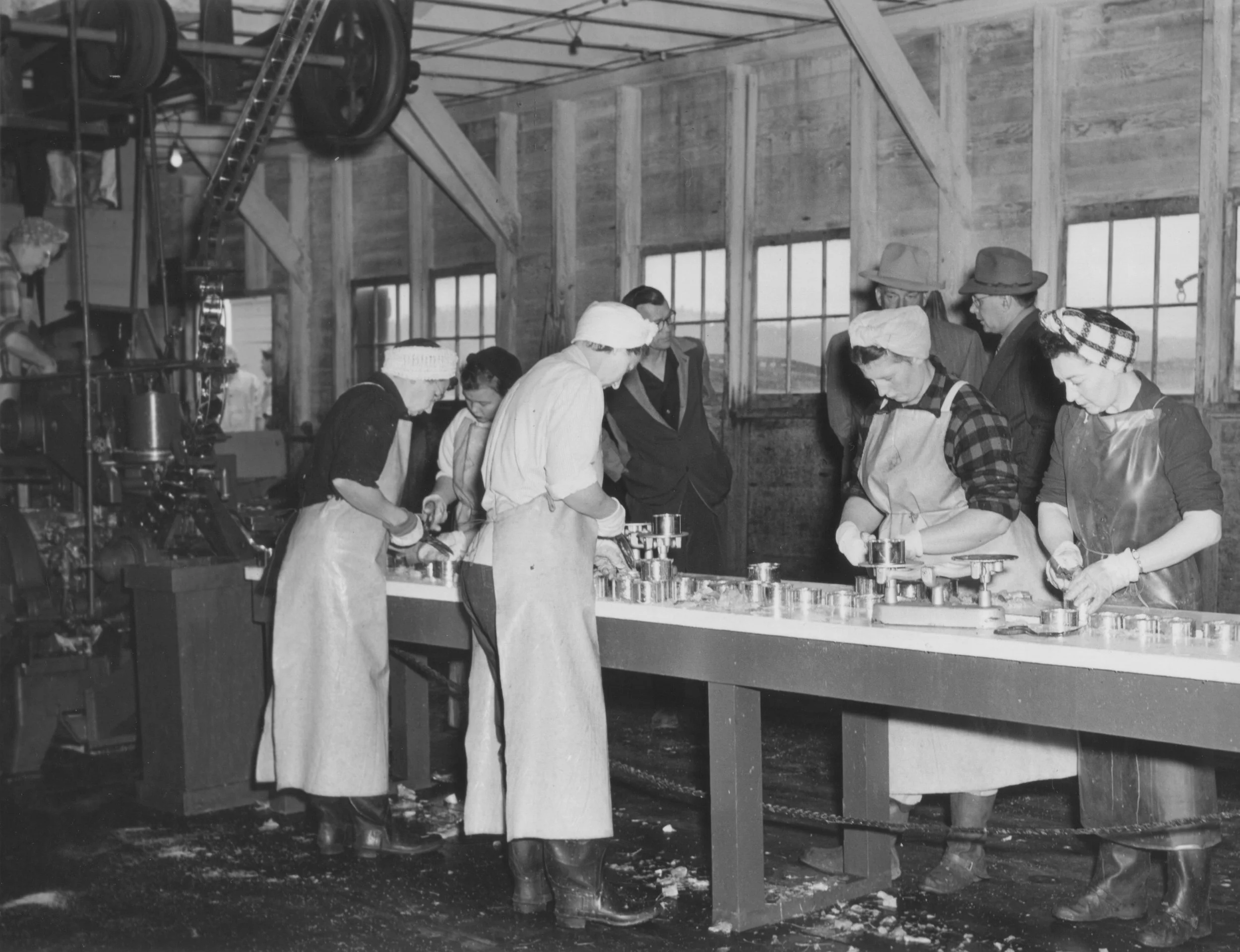  Workers packing down salmon in cans at Anacortes Canning Co. cannery.  —  Anacortes Museum Historical Archive  