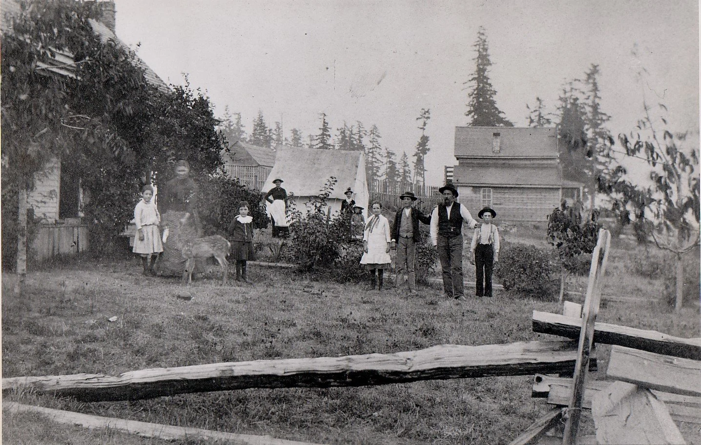  Timothy and Flora Mangan family (10 people) and home on Guemes Island. Several of those in this photo can be seen in WF 0054 which was taken the same day. Note pet deer at left and tent in center. They homesteaded around 1871 on Guemes Island. Manga