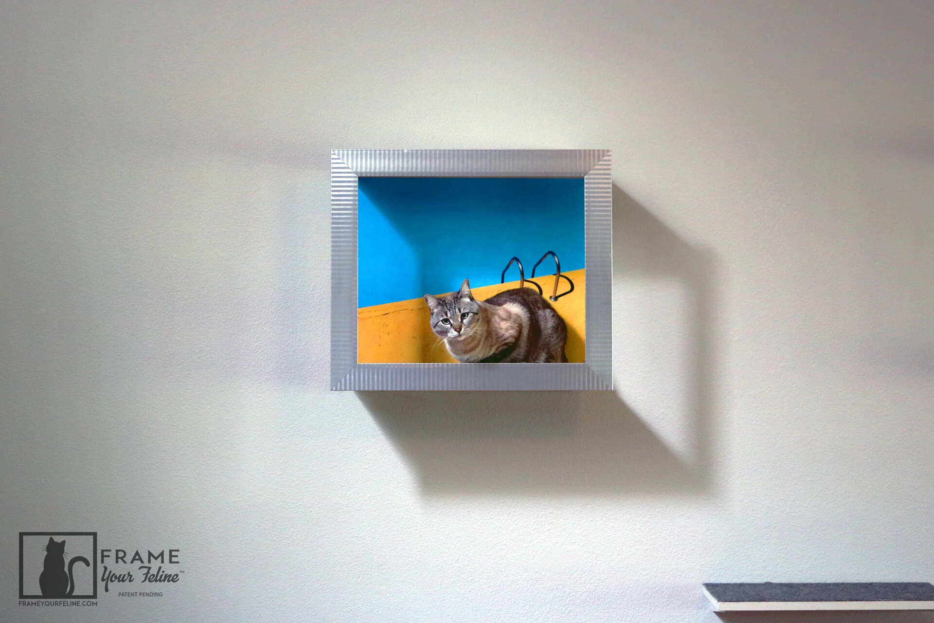 Feline Frame Ensemble (Contemporary Silver) — Frame Your Feline