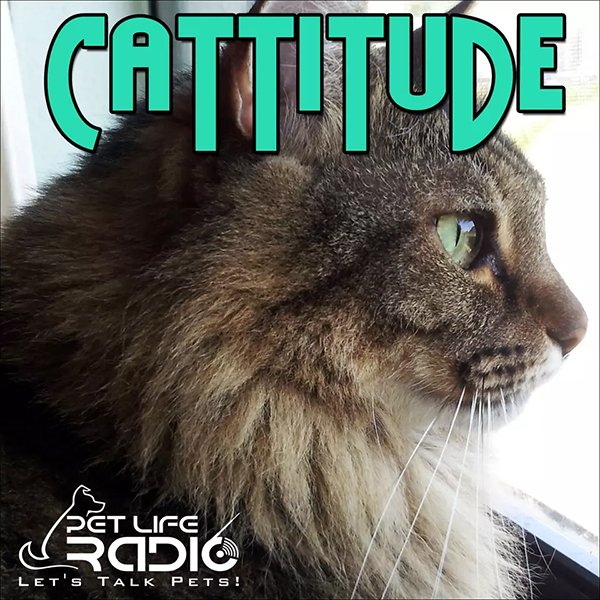 Catitude Podcast logo (600x600).jpg