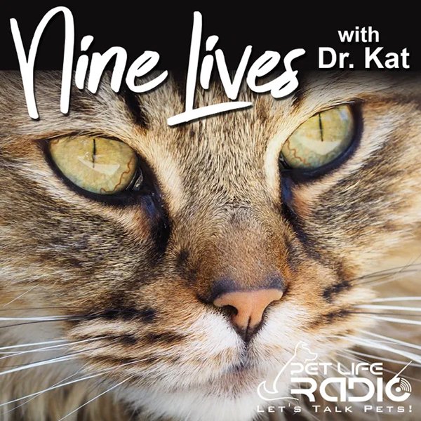 Nine Lives With Dr Kat Logo (600x600).jpg