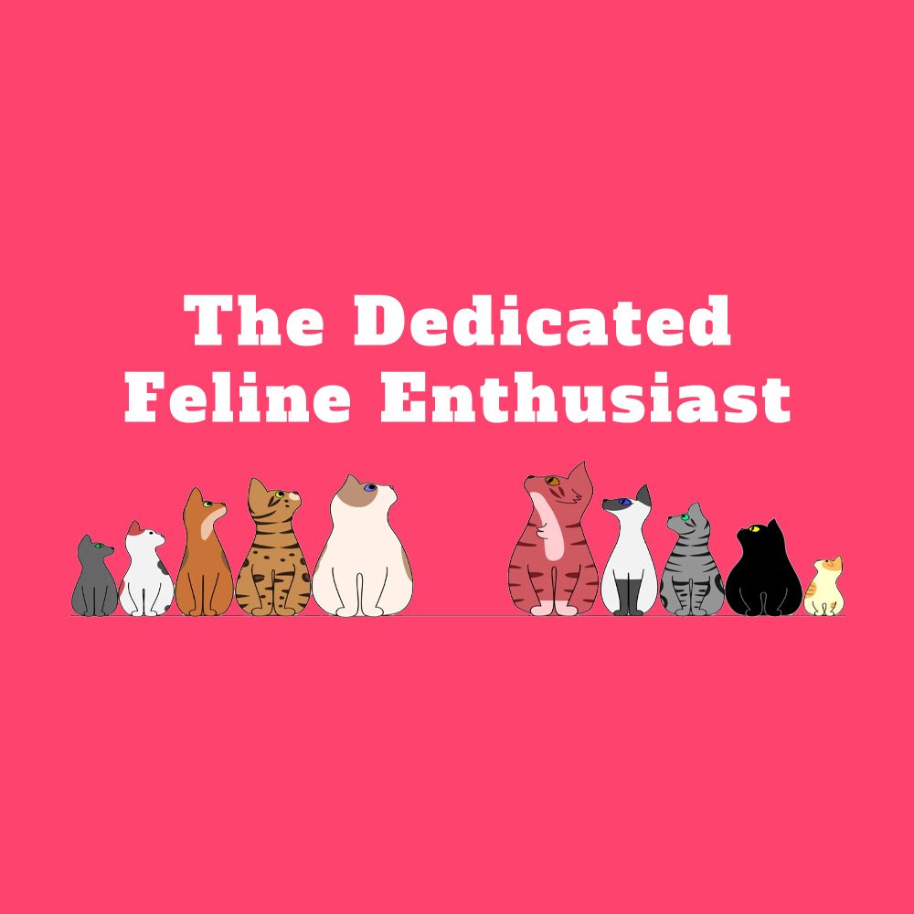 The-Dedicated-Feline-Enthusiast-Blog.jpg