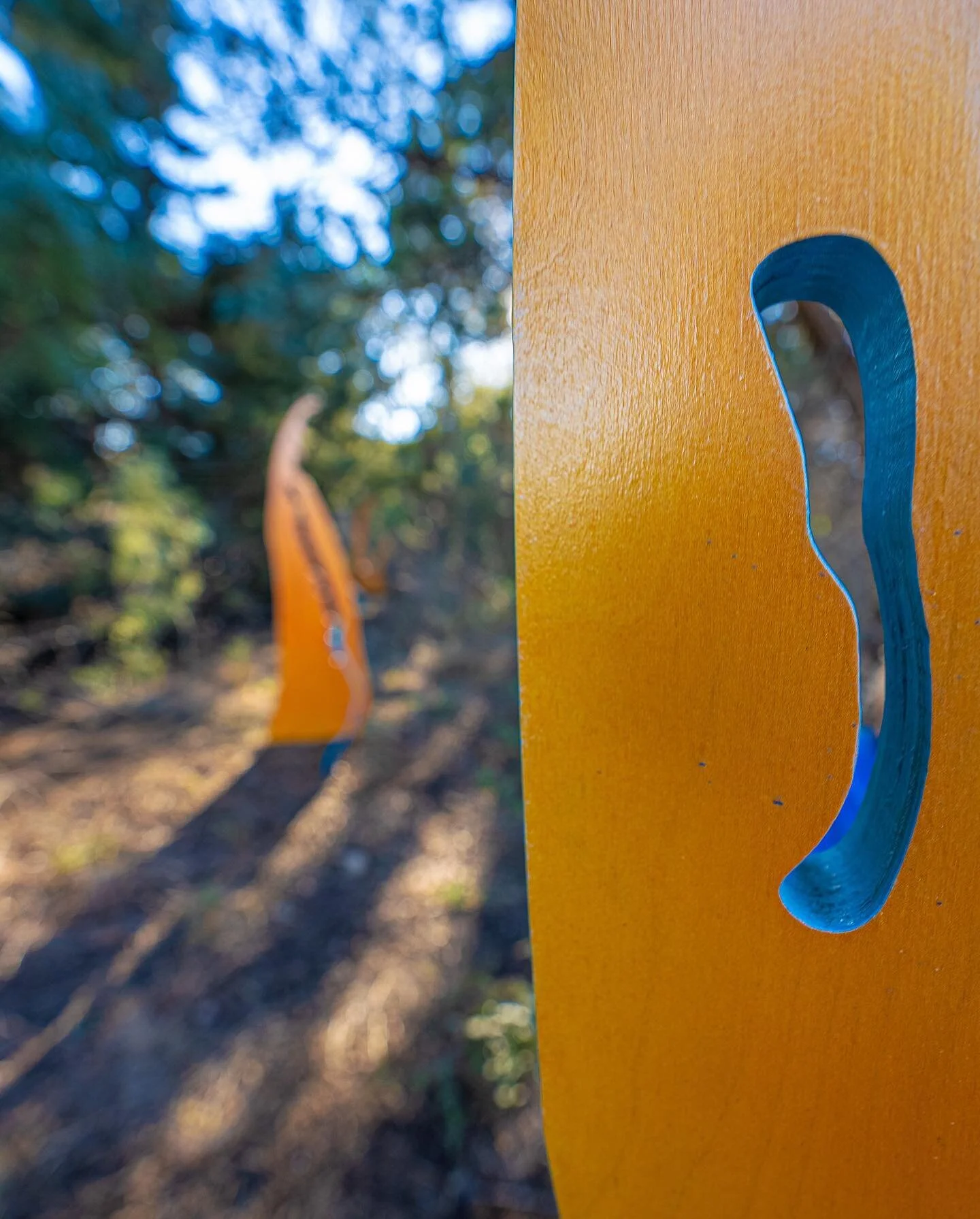 Happy Earthday 🌎! So much art outside&hellip;  including an artist walkthrough with @alicia_philley at 11am. Perfect way to get into deep nature @wildflowercenter &hellip; high hanging or low hiding - can you find them all? 
There is only a few more