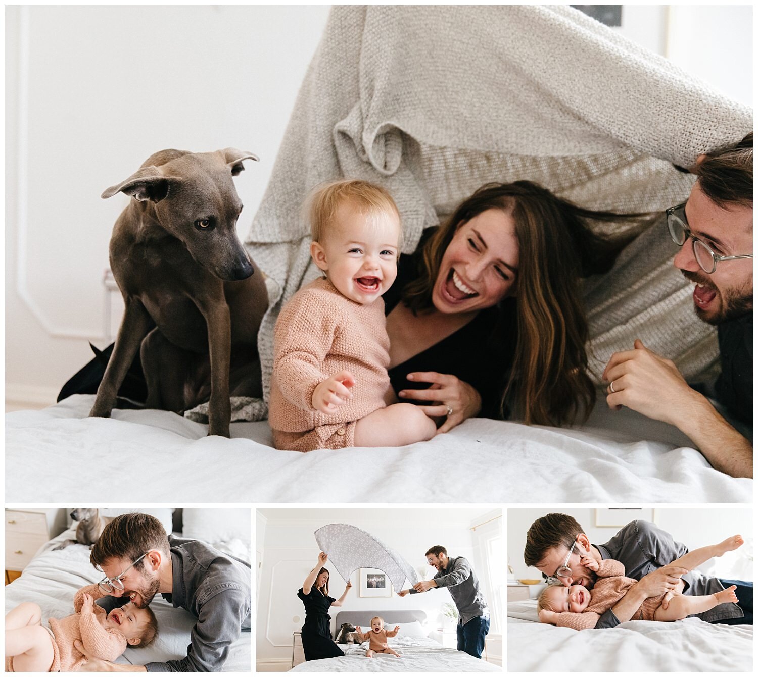 at home photoshoot with greyhound and baby in trendy home in san francisco_2 (5).jpg