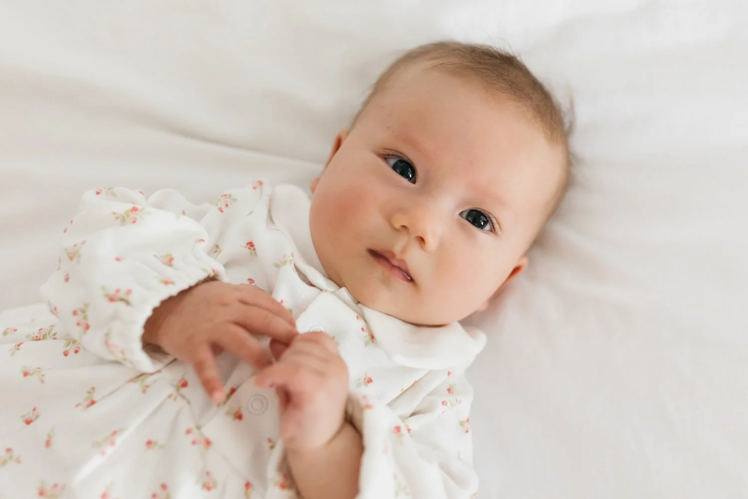 noe valley baby photos in san francisco with dog-1.jpg