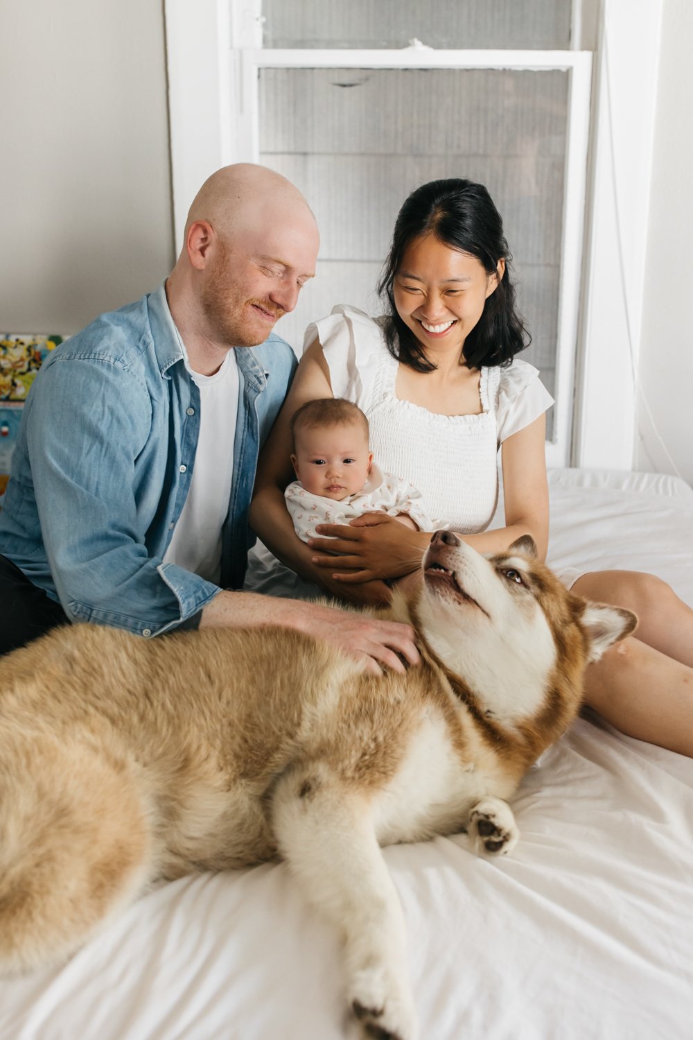 noe valley baby photos in san francisco with dog-18.jpg