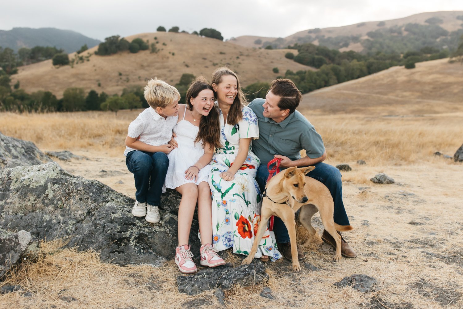 family of four with dog in marin hills family photographer 2024_16.jpg