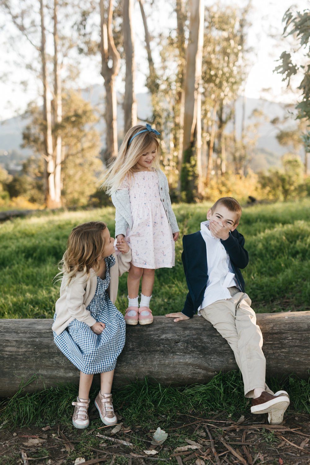 san rafael marin county family photographer with family of five in eucalyptus grove 2025_11.jpg