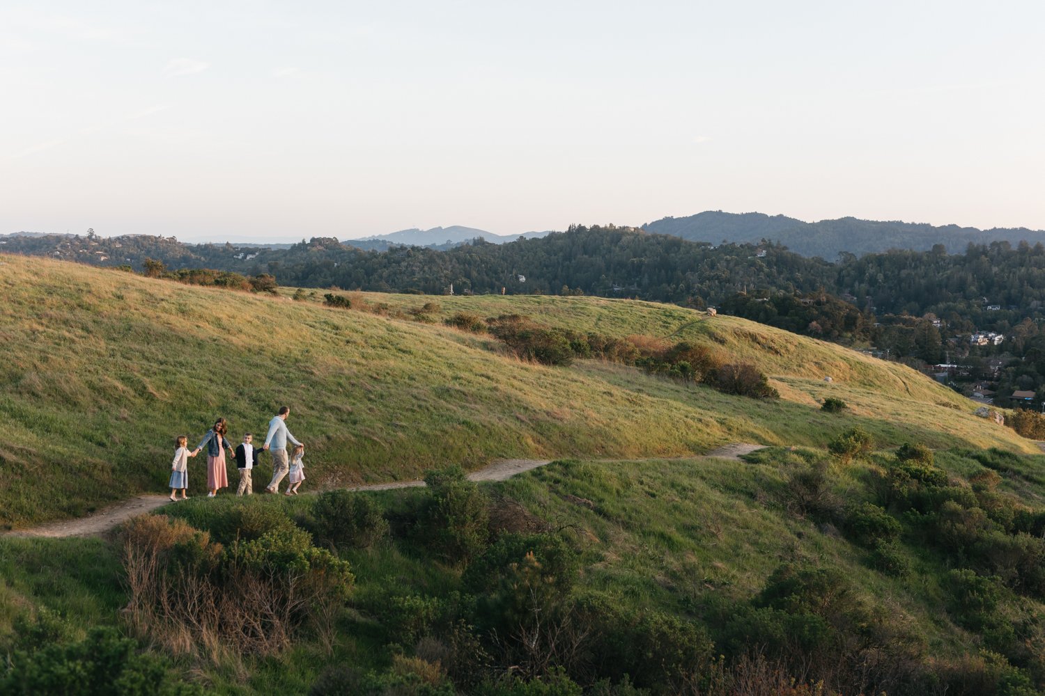 san rafael marin county family photographer with family of five in eucalyptus grove 2025_34.jpg