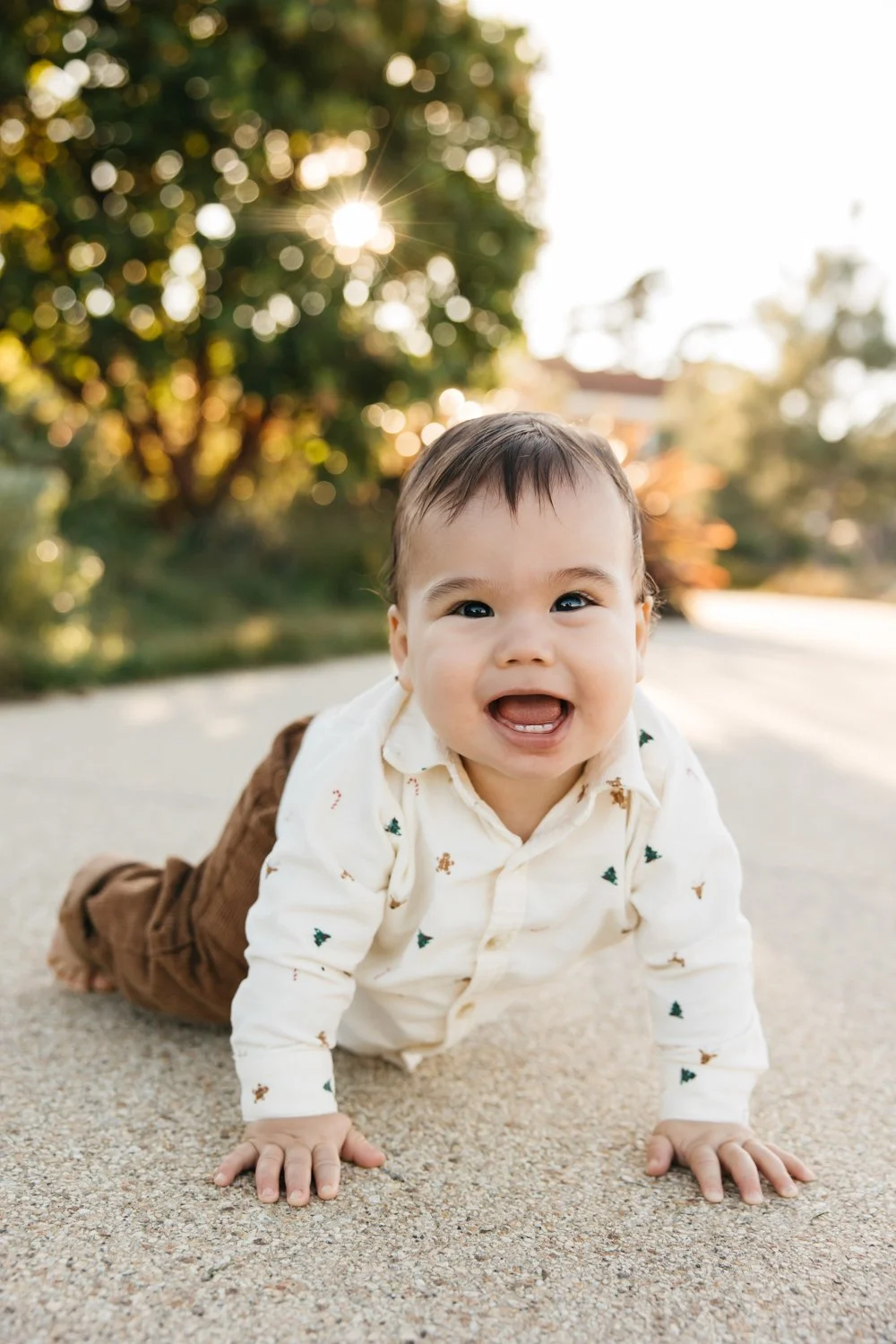 san francisco baby photographer in presidio lawn-26.jpg