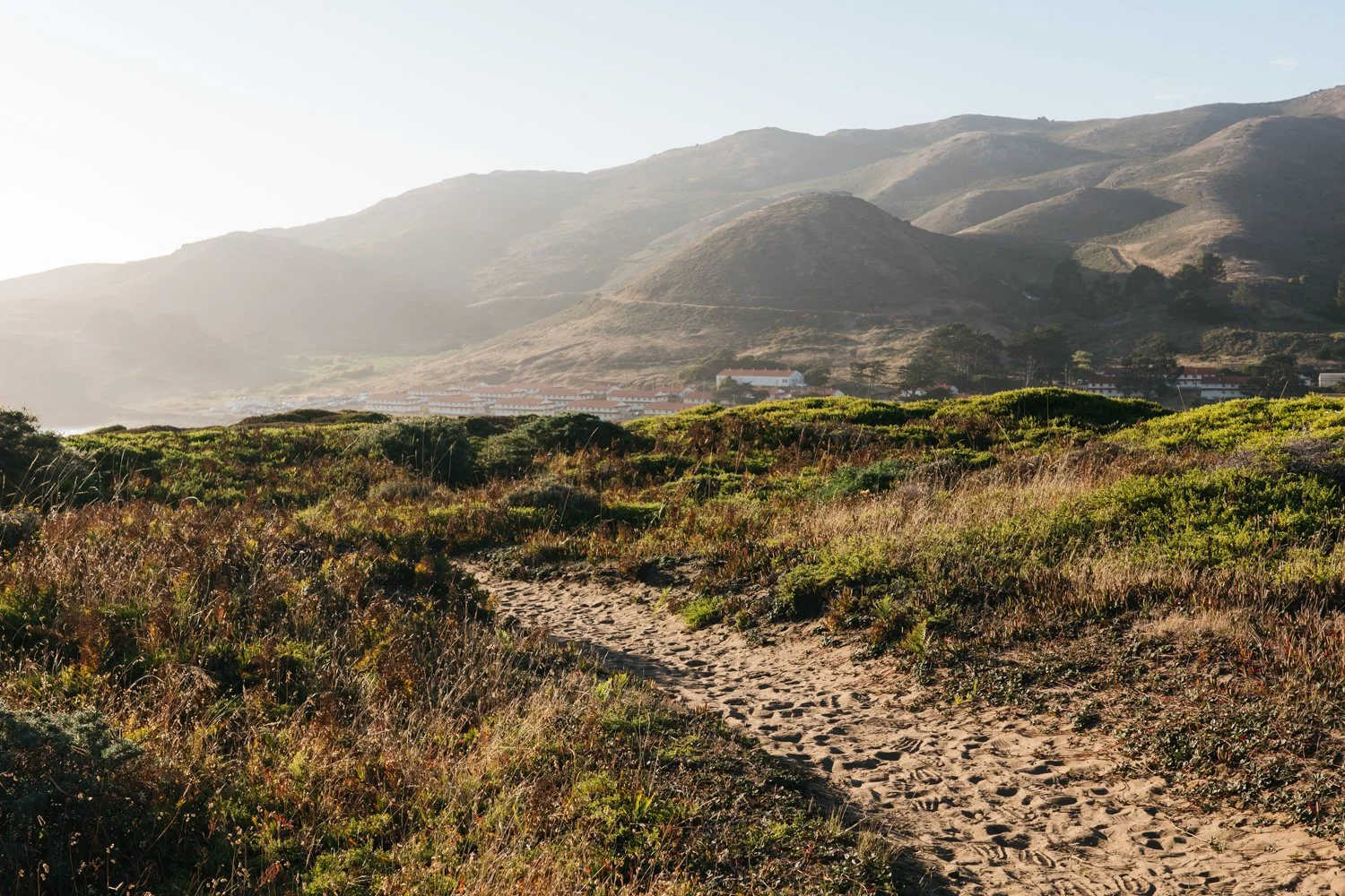 Coastal Overlook-2.jpg