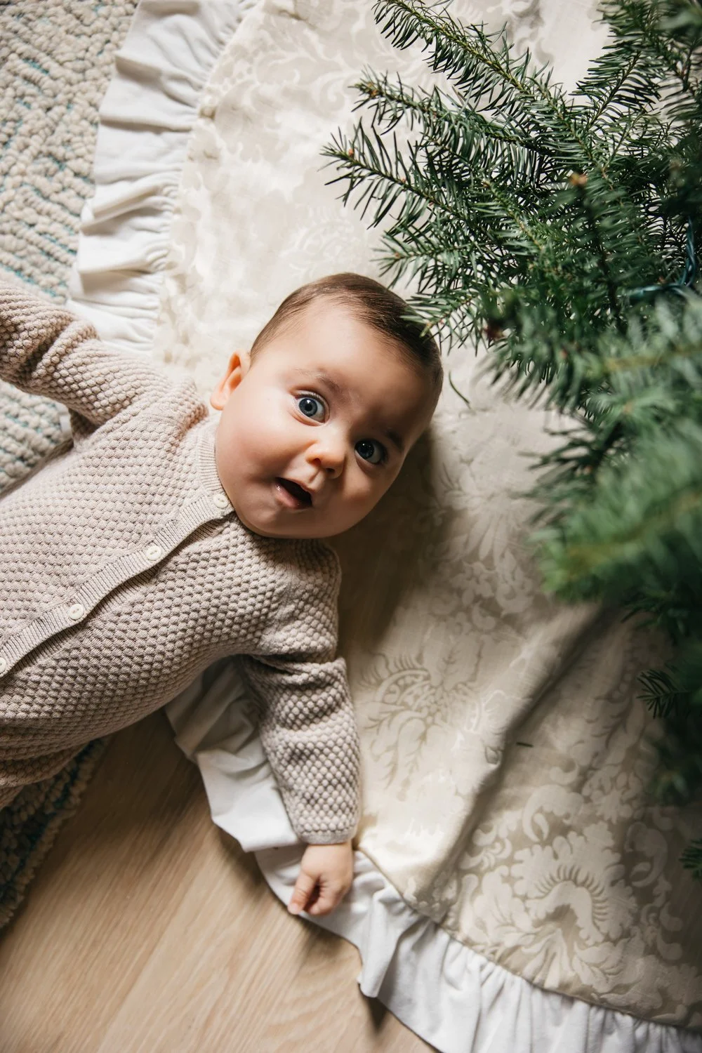 Christmas mini sessions in home holiday tradition mini sessions in the Bay Area san francisco and Marin-5.jpg