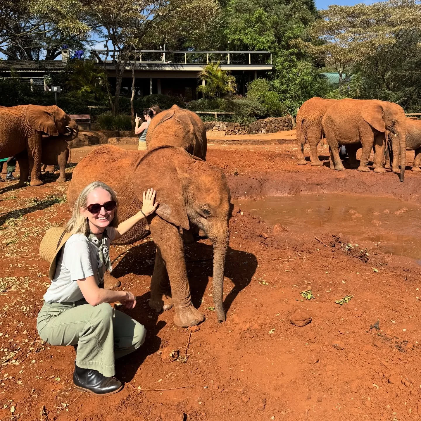 Conducting some very serious research on Kenya&rsquo;s most adorable residents 🐘.

If you&rsquo;re going to Kenya, you absolutely must go to the @sheldricktrust&hellip;

At this special place, they rescue orphaned wildlife, hand-raise them, and then