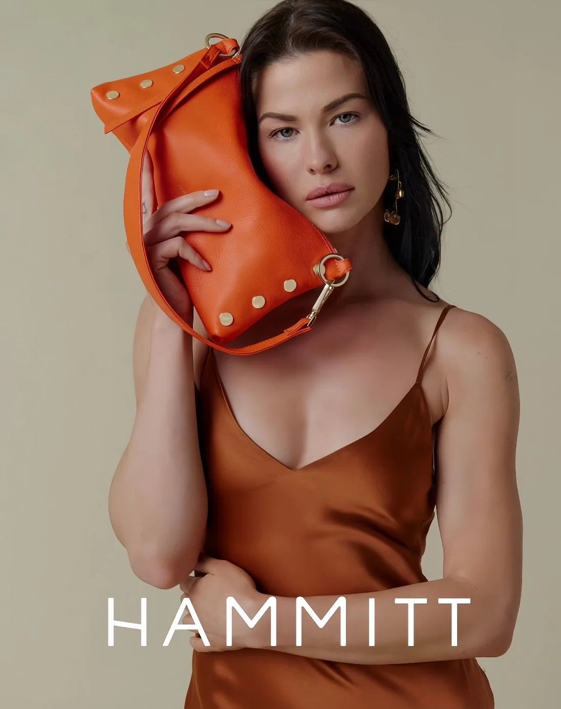 Hammitt campaign 2024