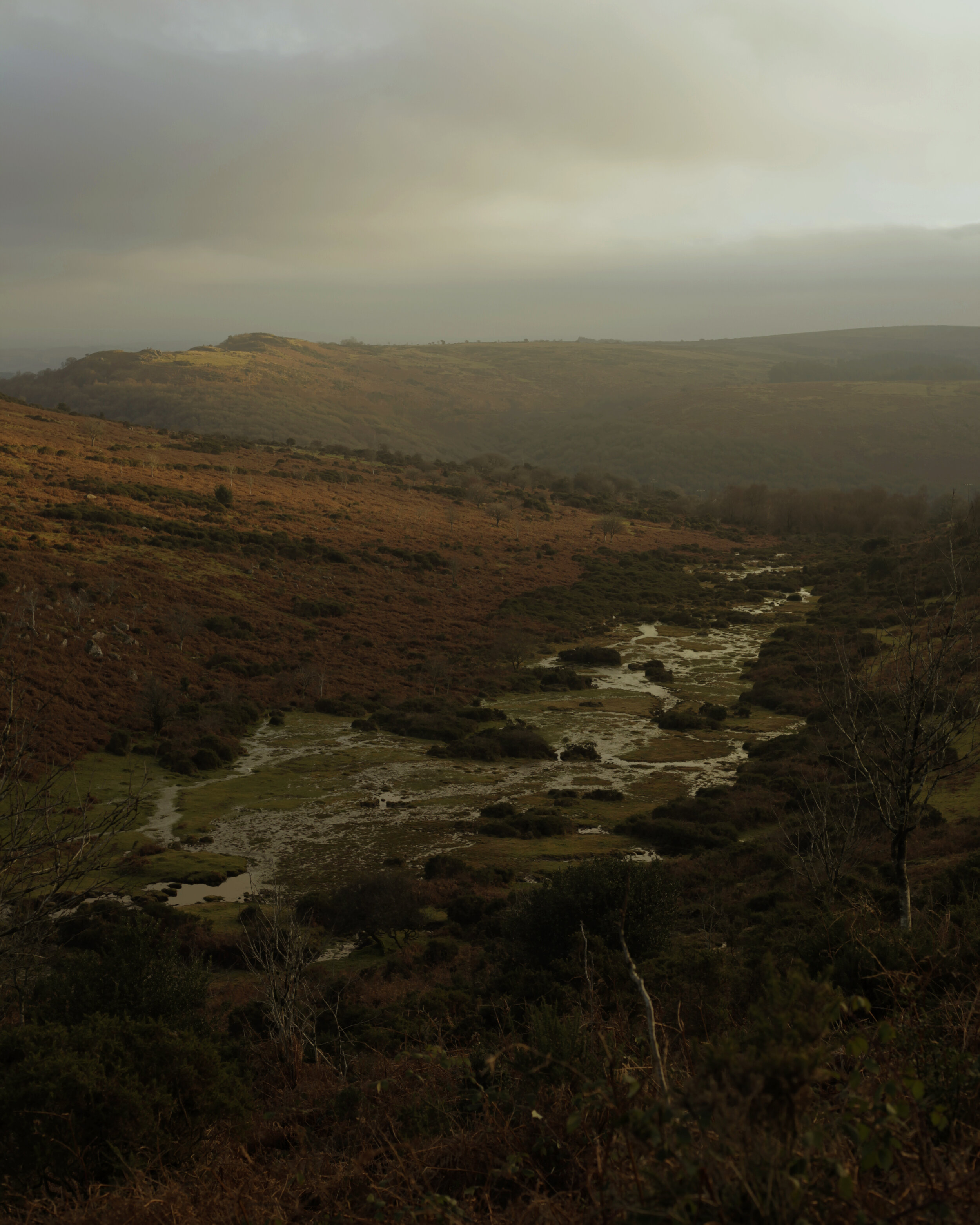   Dartmoor  