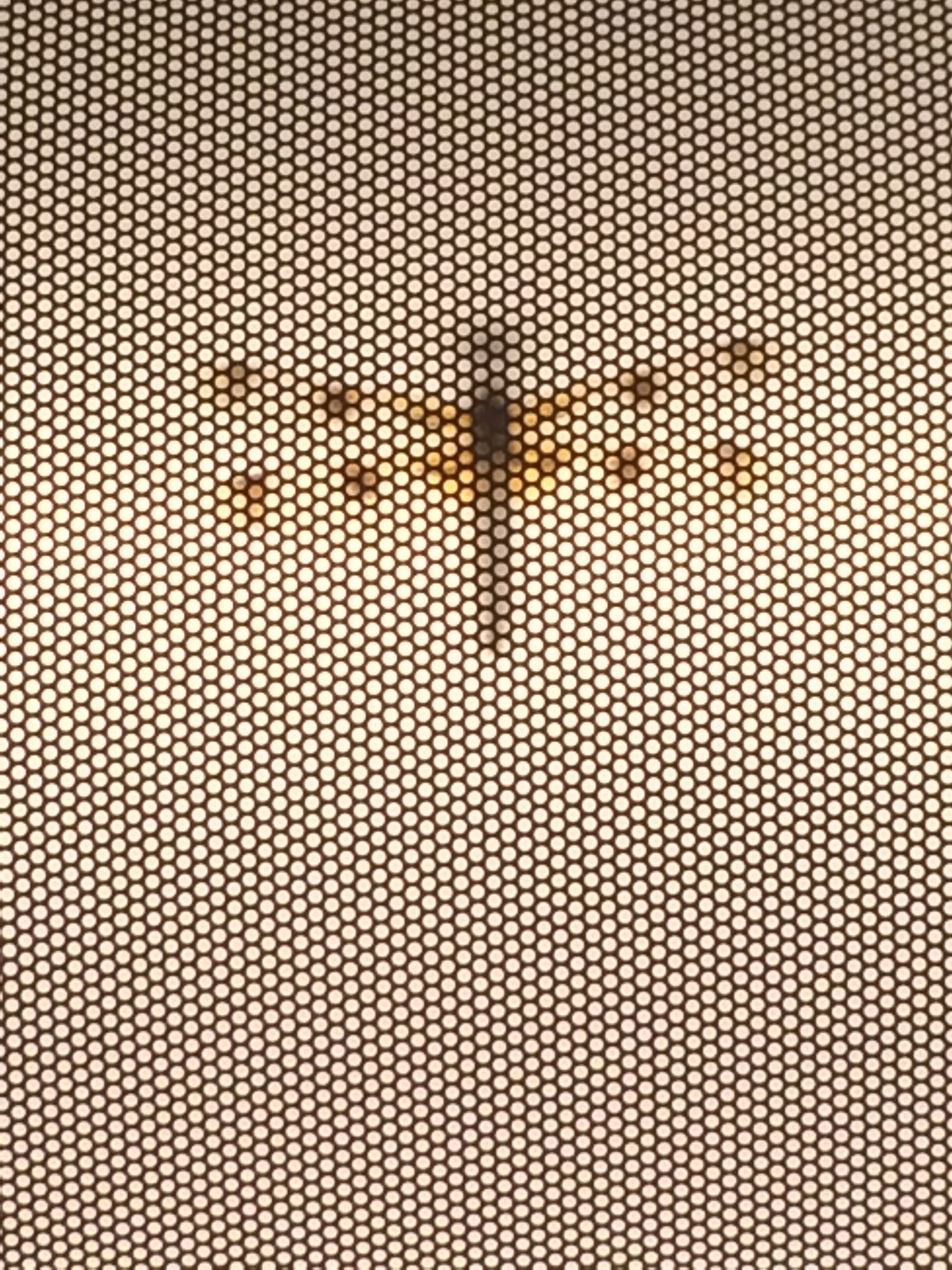 Trapped dragonfly