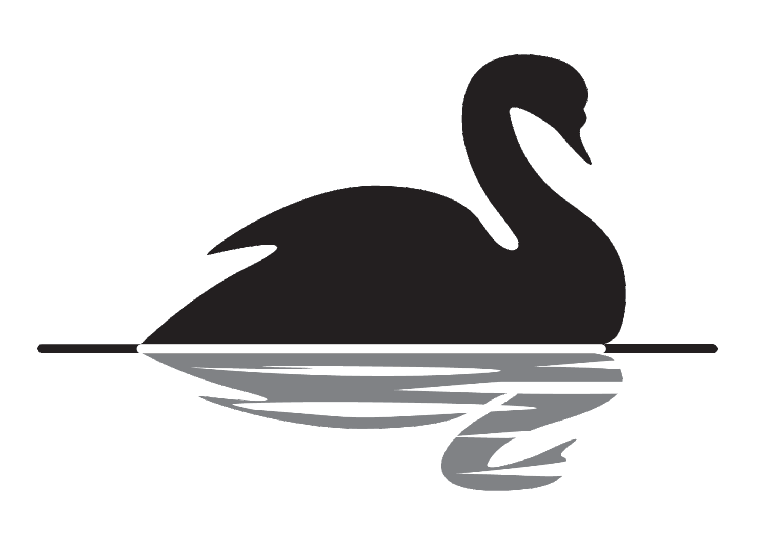 Black Swan Consulting - Central Otago