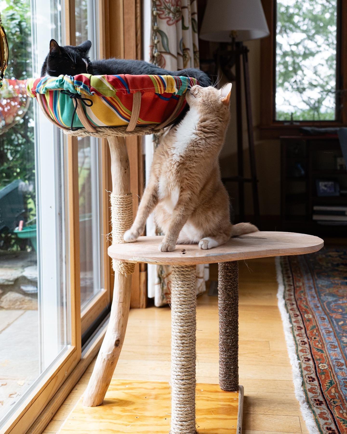 Have you ever wanted to make your own cat tree? If so, this class is for you and a friend. Thanks to local interest I&rsquo;m offering a limited number of weekend woodworking classes! No prior experience required.

This 🐈 approved tree features a st