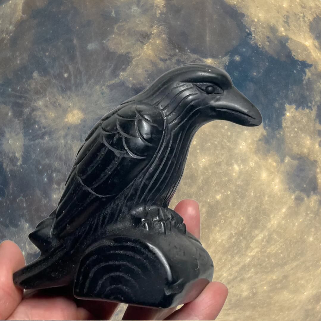 🐦&zwj;⬛ Invite the mystic energy of the Raven into your space with our captivating statue. Embrace its spiritual presence and unlock the secrets of ancient wisdom. 🐦&zwj;⬛ #Raven #Animals #SpiritGuides #Ancient #Wisdom