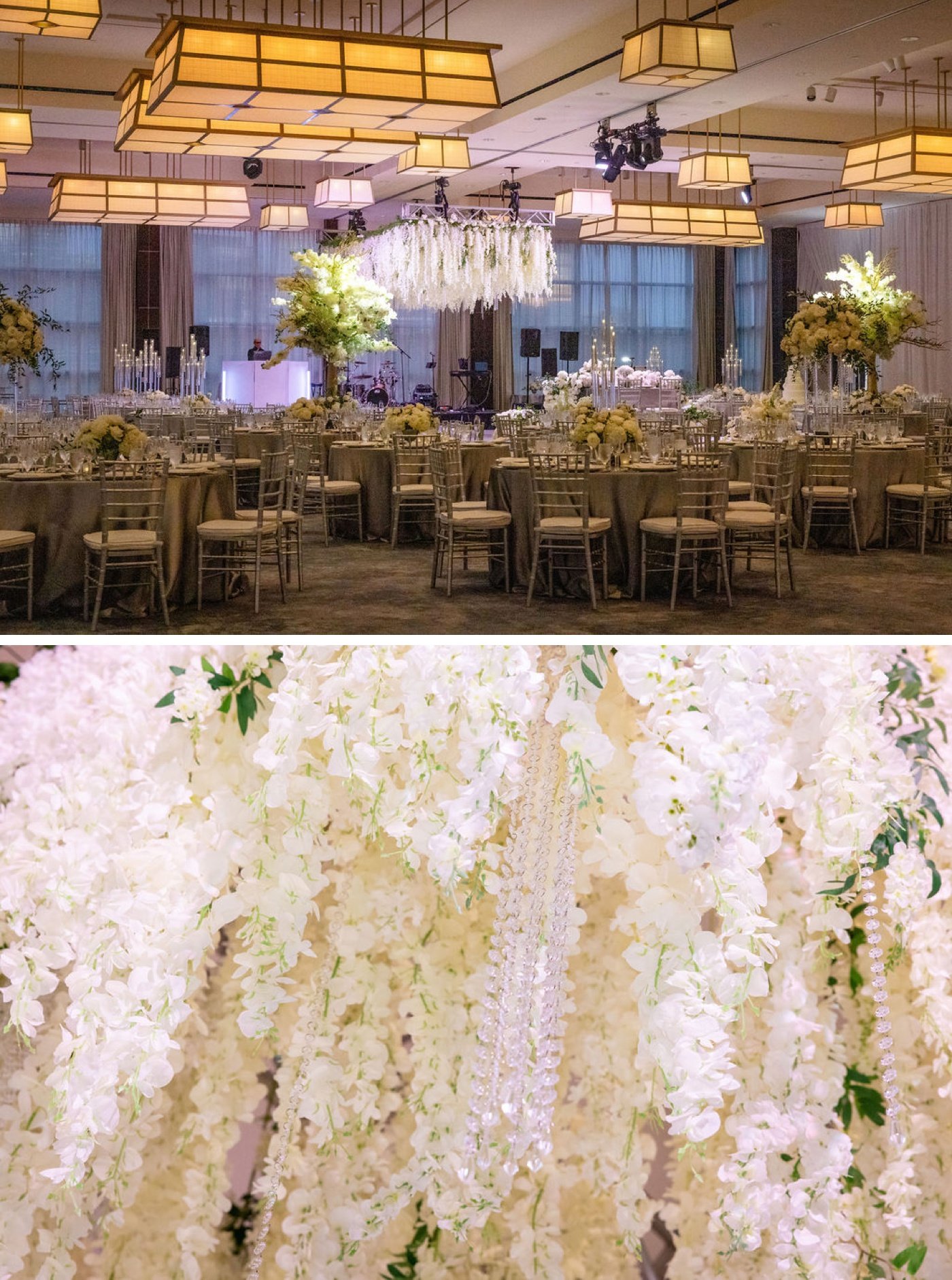 White wisteria flowers hanging above a wedding reception dance floor