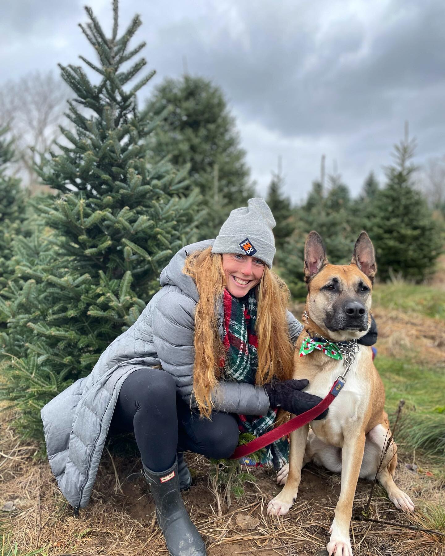 &lsquo;tis the damn szn for us to be the jolliest bunch of assholes this side of the nuthouse and keep this tree sparkling until at least March🎄✨

Chance is clearly thrilled🤝🐕 #notsorry