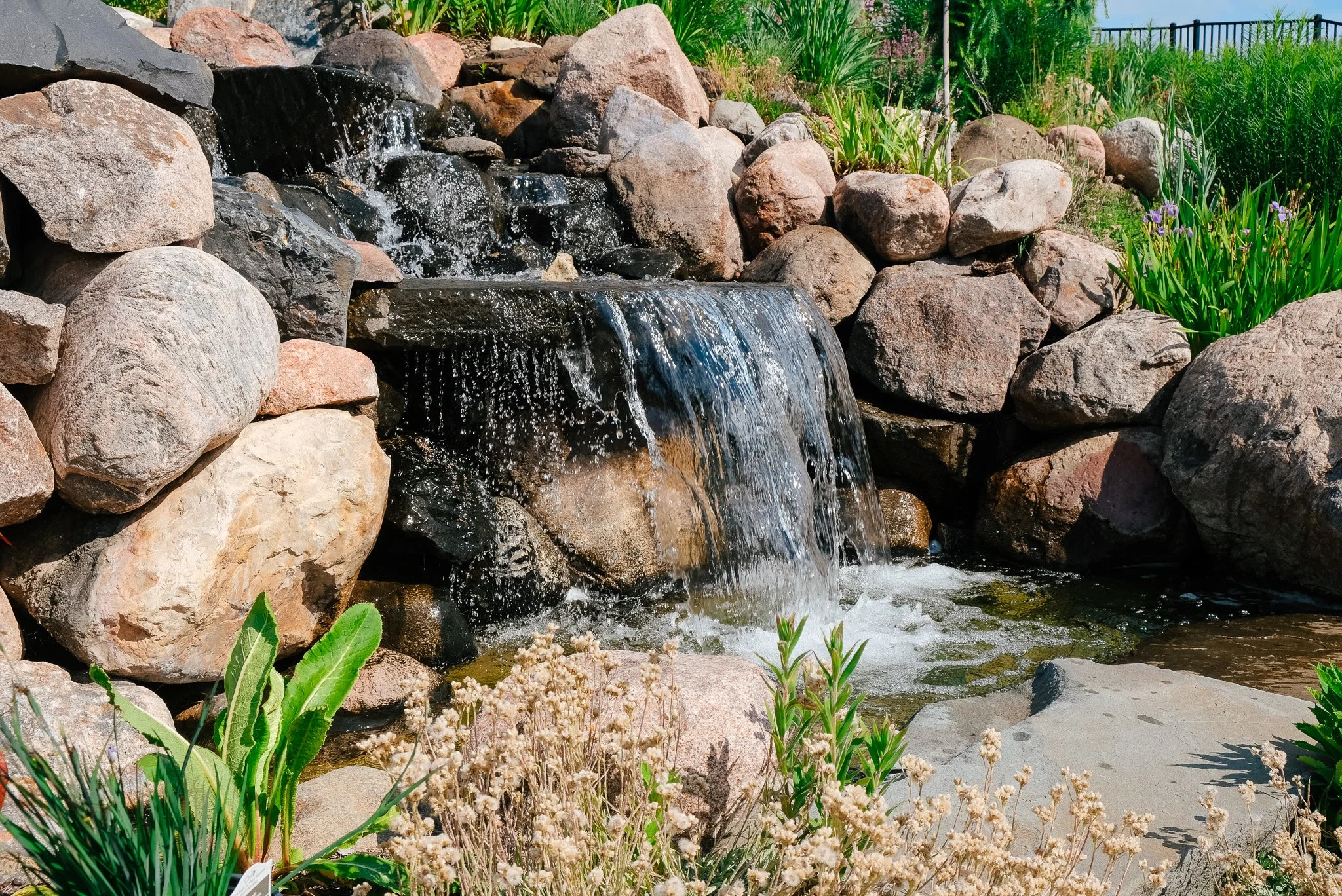 DSCF1290.jpg