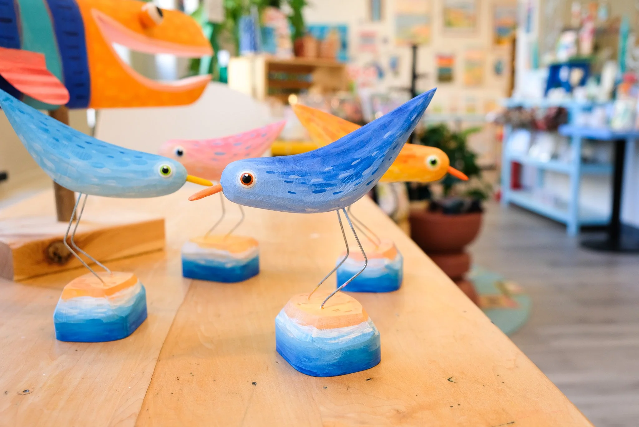 Curious Piping Plover - Medium Blue