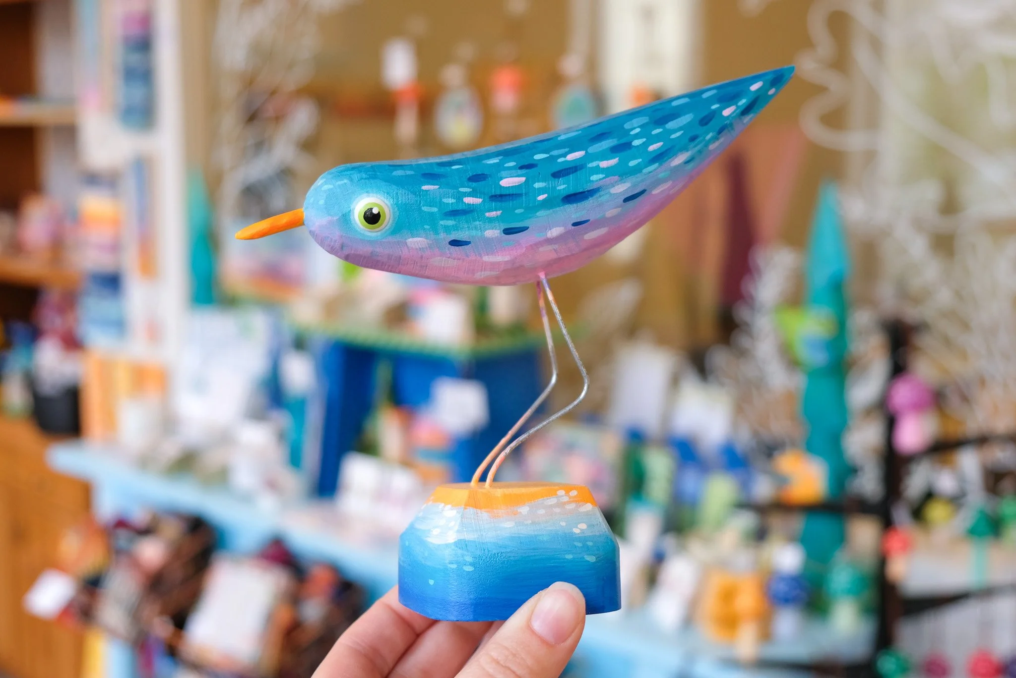 Curious Piping Plover - Blues