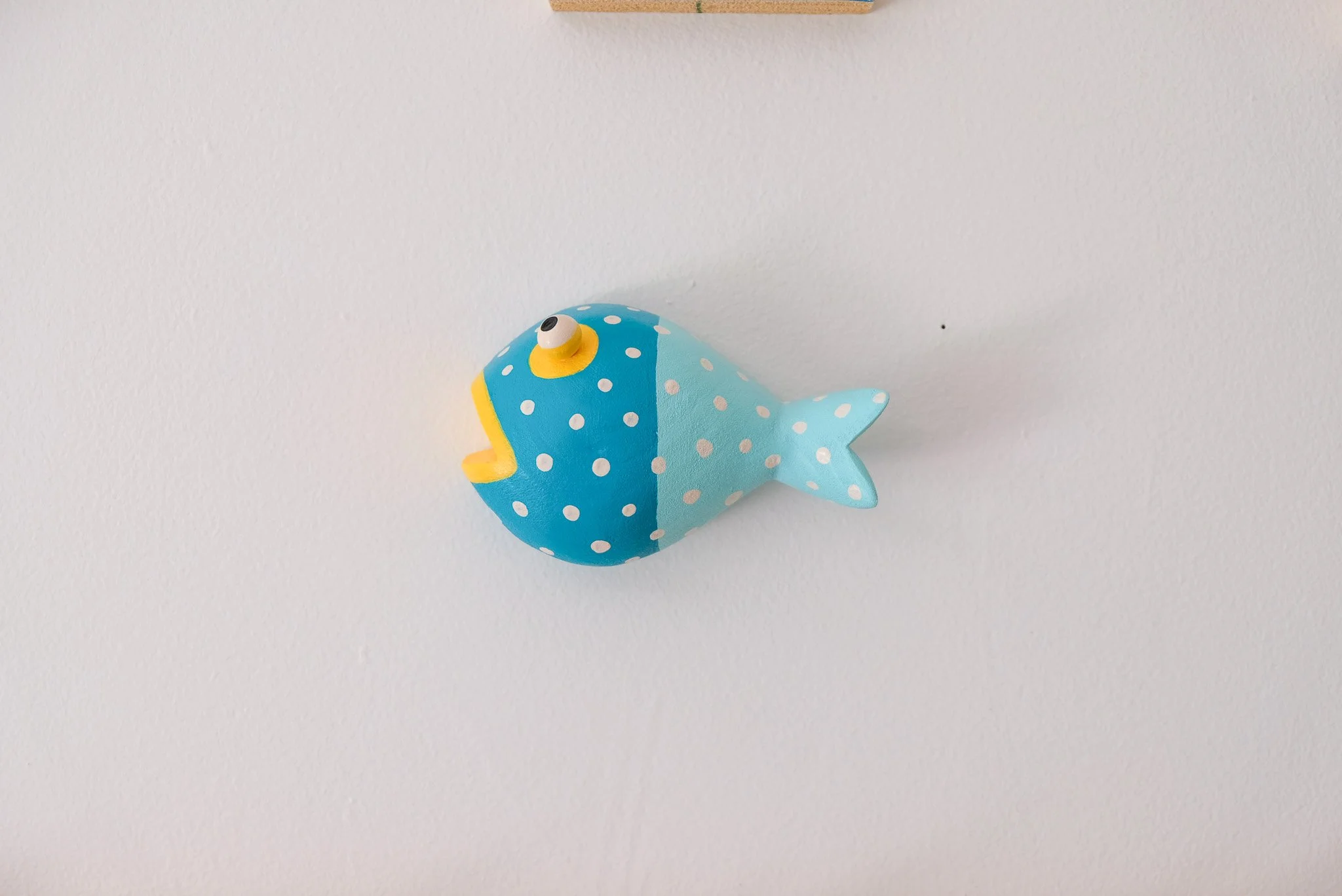 DSCF8558.jpg