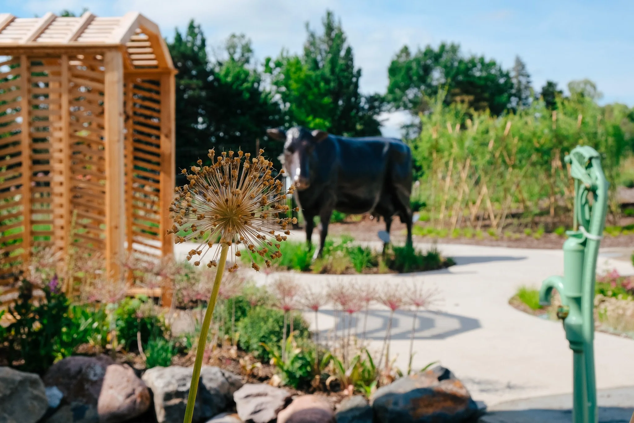 Childrens Sensory Garden in Traverse City, Michigan Botanical Gardens, Native Plant Gardening