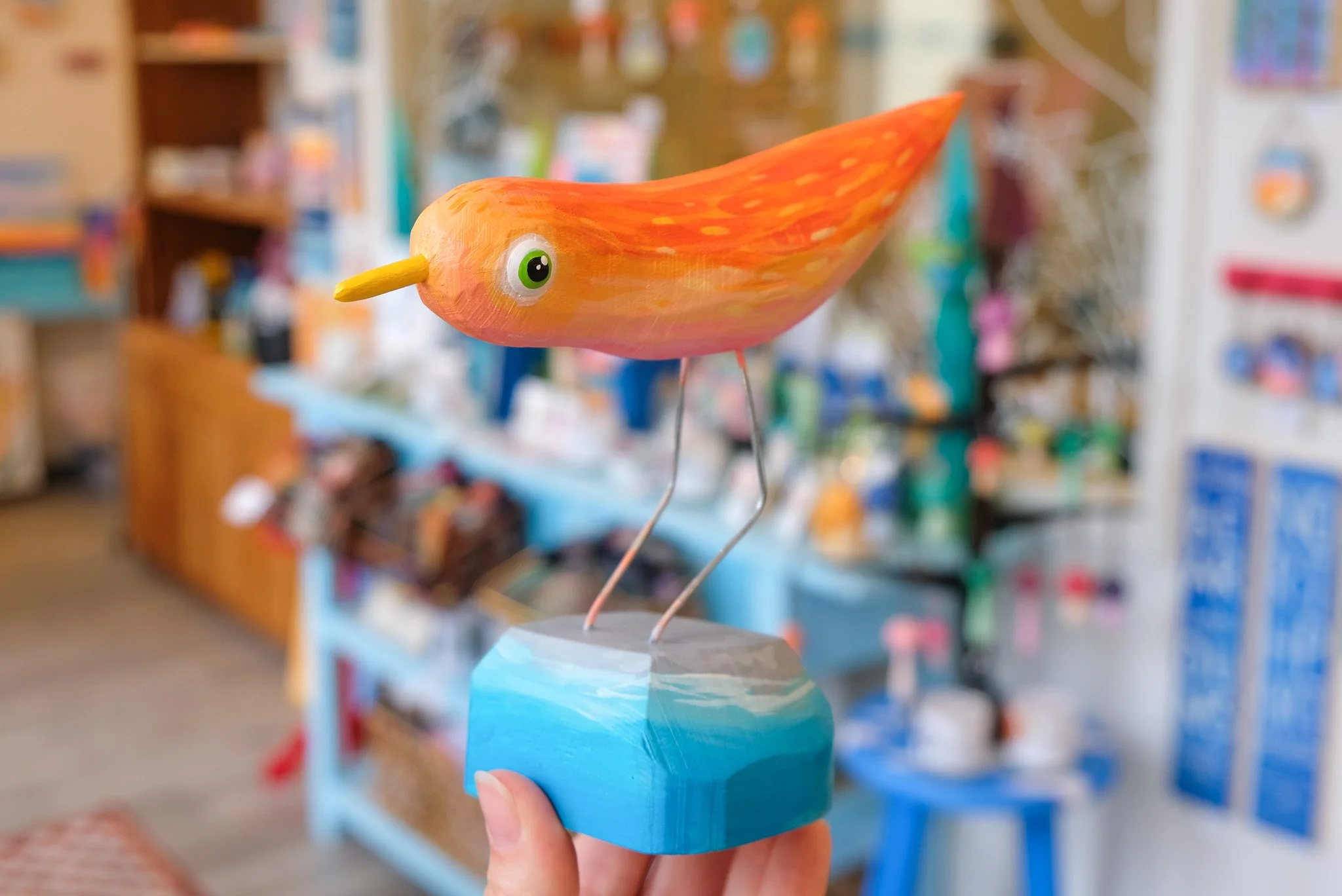 Curious Piping Plover - Orange